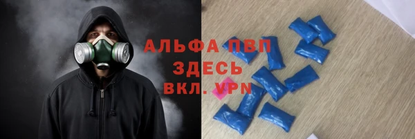 дживик Алексин