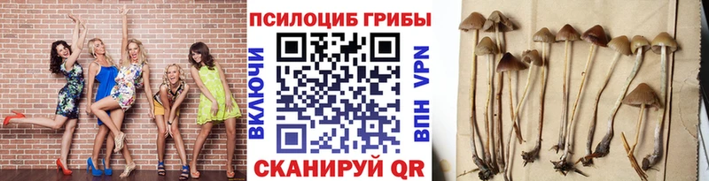 Псилоцибиновые грибы мицелий Обоянь